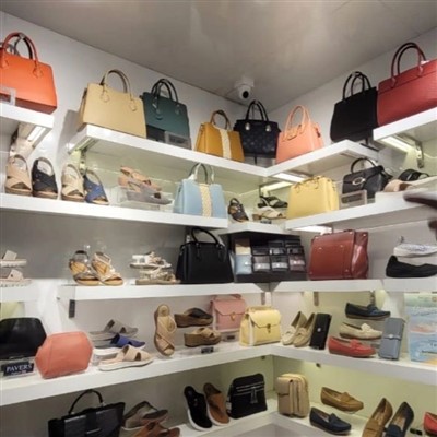 Vitrine de sacs à main pour les dames