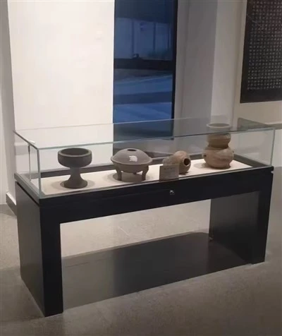 Cabinet d'exposition de musée